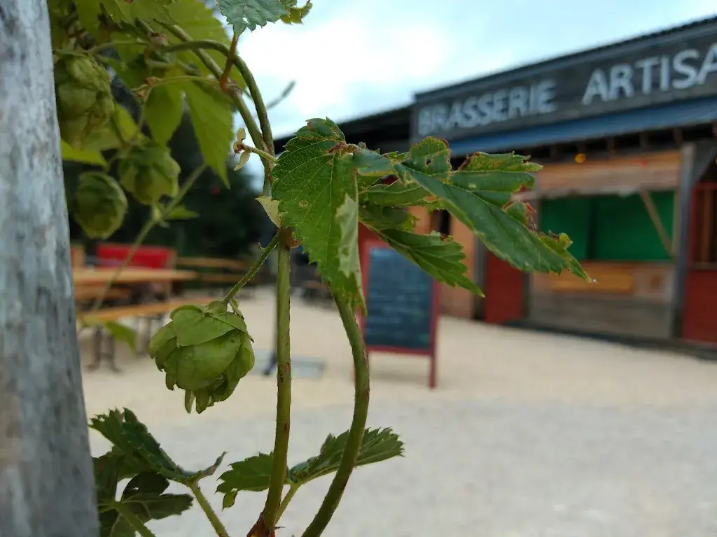 Henry Homola_The micro brewery Agrivoise_Saint-Agrève_recensione