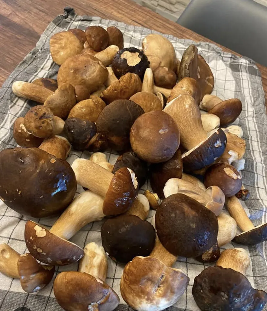 Menu_Bistrot du pressoir_Rumilly_image_6