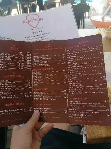 Menu_Le Plectrum_Rumilly_image_2