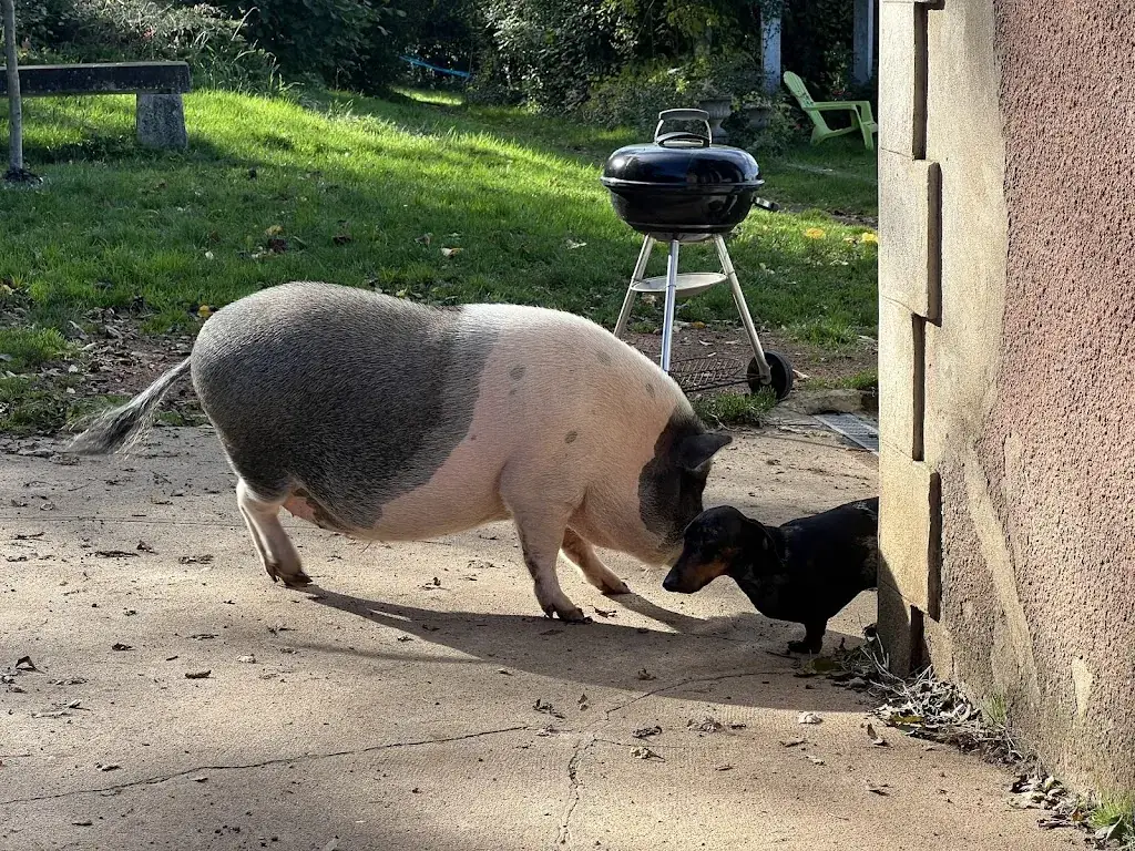 Iain MacVay_Domaine de la Doux_Saint-Denis-de-Cabanne_review