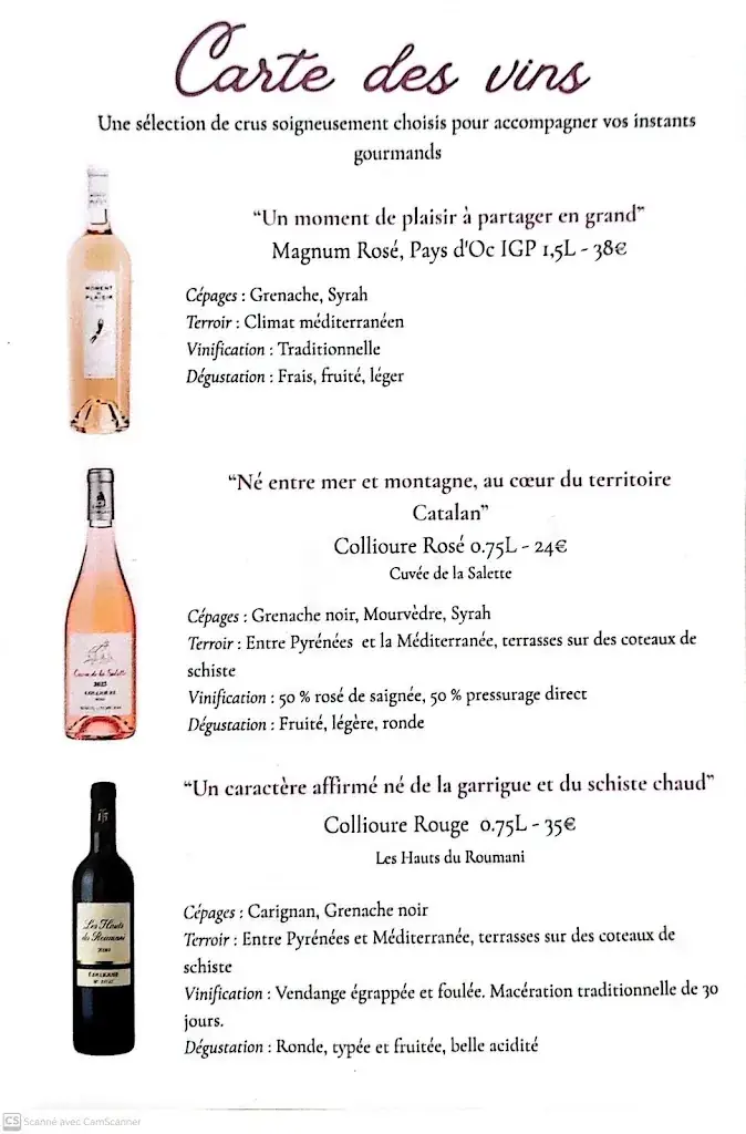 Menu_Restaurant, bar et café, Camping - Chez Sandrine_Saint-Didier-sur-Chalaronne_image_2