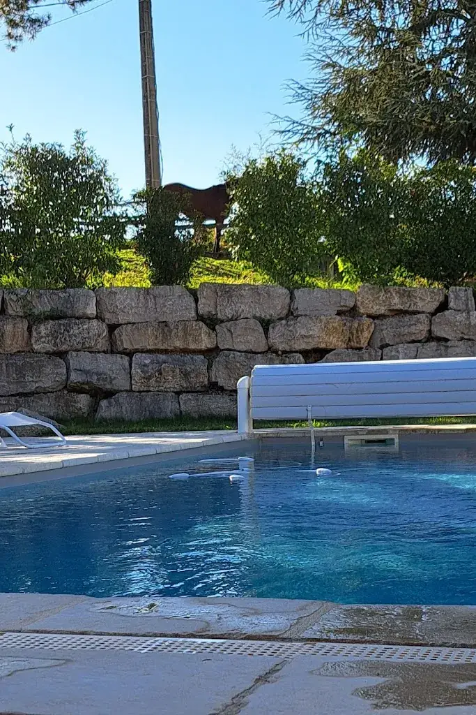 Moulin de Saint-Julien ristorante a Saint-Didier-sur-Chalaronne