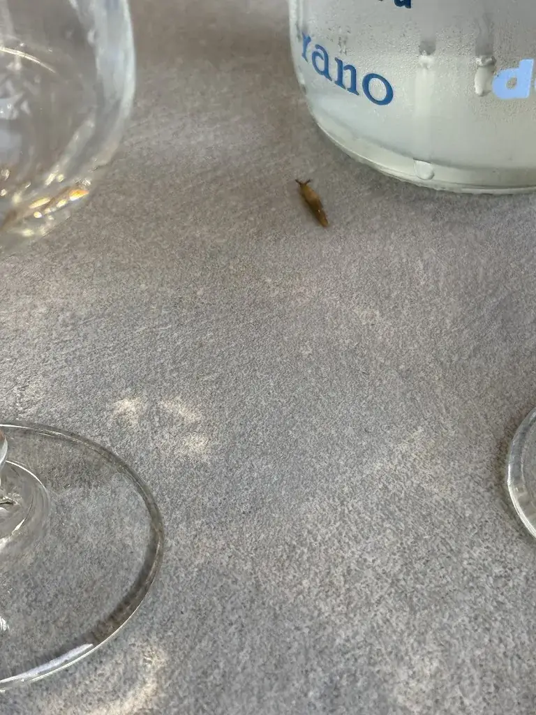 Dogan contact_Brasserie le Rôti_Saint-Égrève_review