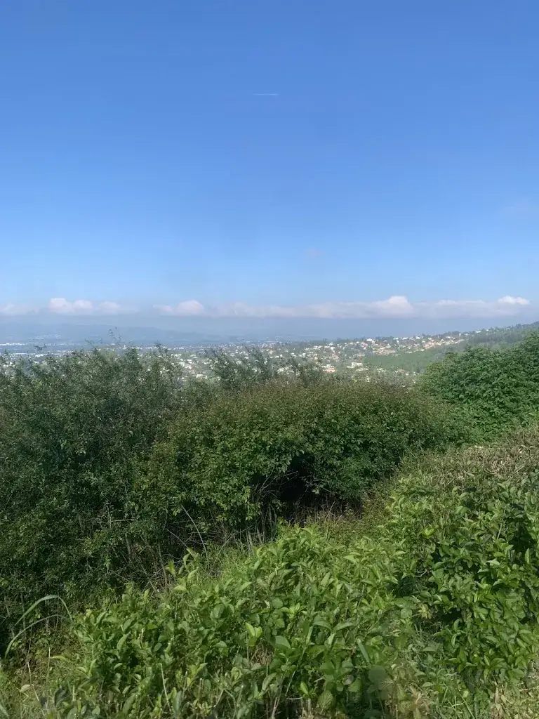 Luca_L'ermitage Hotel_Saint-Cyr-au-Mont-d'Or_review