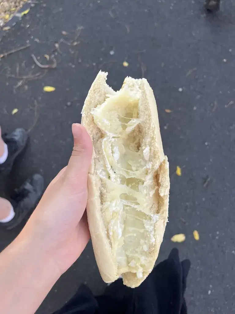 Ambre P_O’Regal_Aulnat_recensione