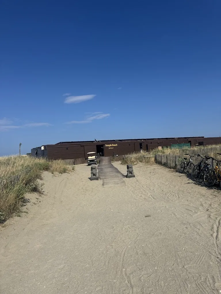 daam van Cappellen_Temple beach_Saint-Cyprien_review