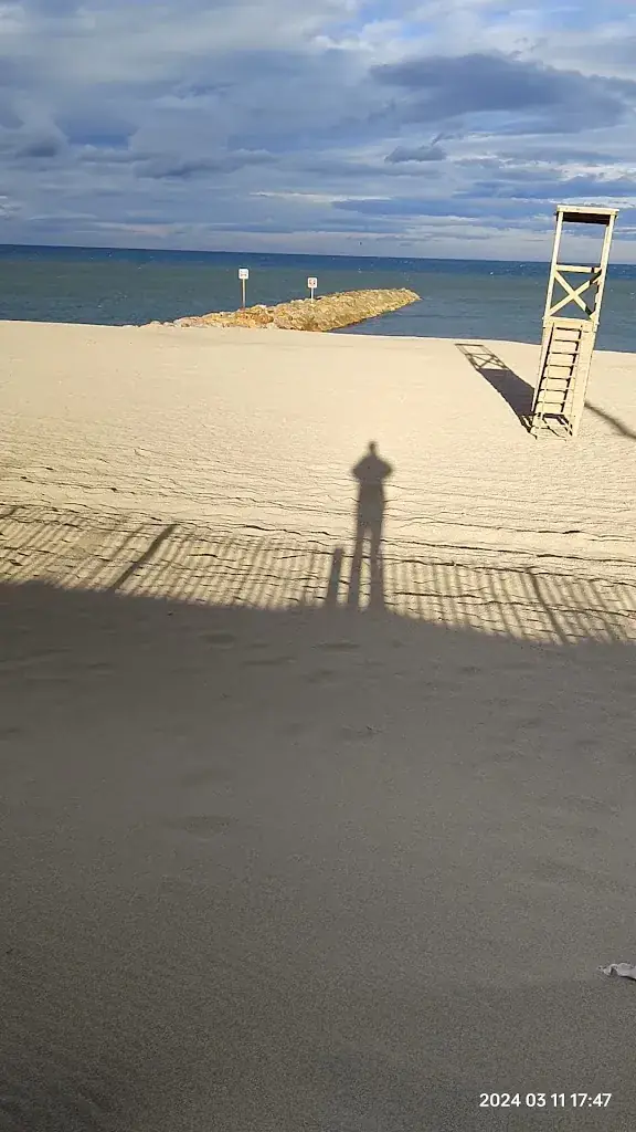 Directeur_Maillol Café_Saint-Cyprien_review