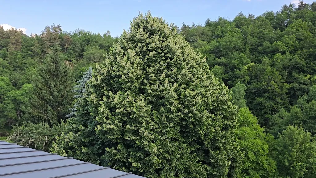 Hôtel-Restaurant & SPA Le Bout du Monde_Saint-Georges_slider_image_1