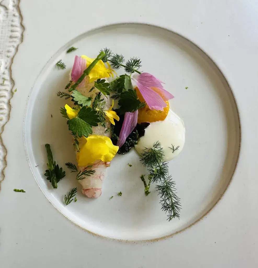 Fred Tardy_L'Ostal_Clermont-Ferrand_review