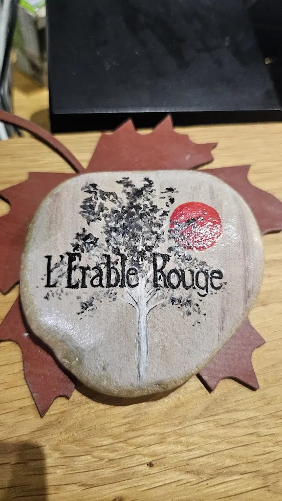 Mars Upilamij_L’Érable Rouge, french-japanese food_Saint-Genix-les-Villages_review