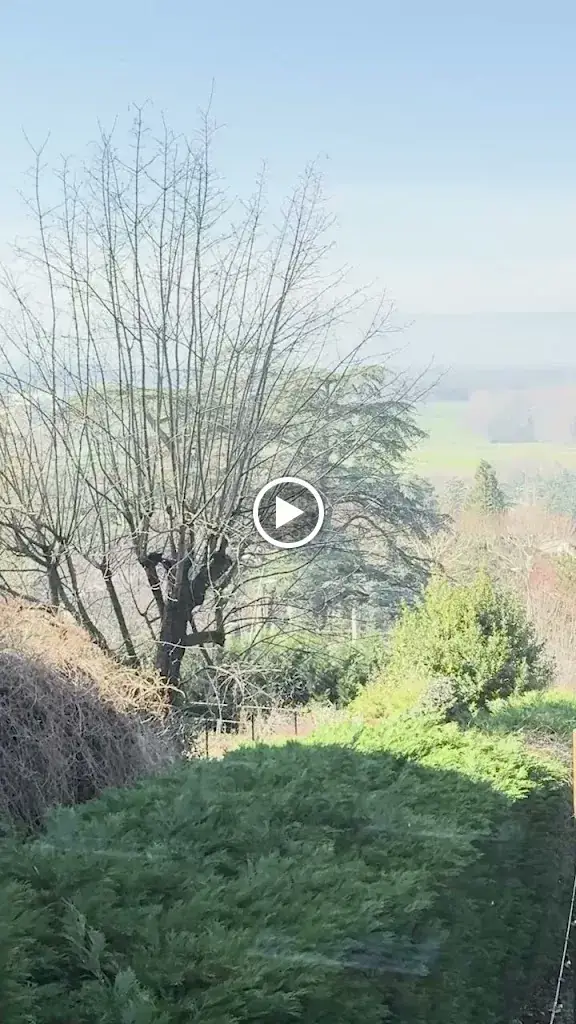 Restaurant La Poste Tout Simplement_Saint-Galmier_slider_image_2