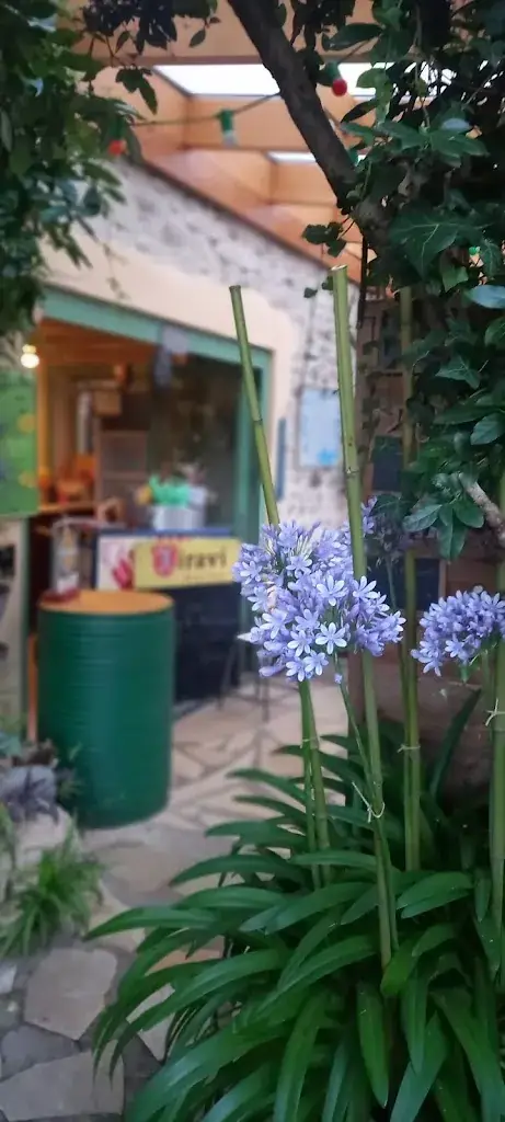 Rita Willemin-Palombo_Pizzeria le Jardin de la Baudière_Saint-Lattier_review