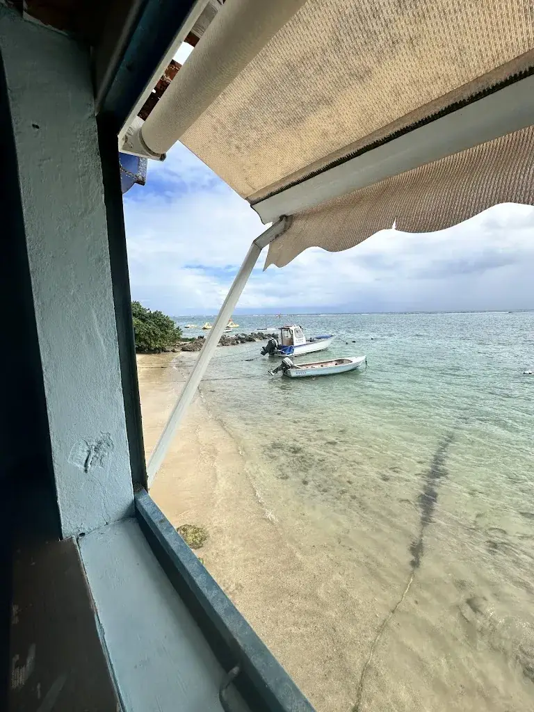 Ricardo_Les Pieds dans l'Eau_Guadeloupe_review