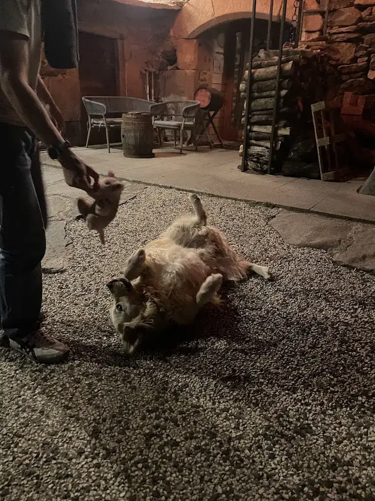 Gaspard Avat_La Ferme du bien-être_Saint-Julien-Chapteuil_recensione