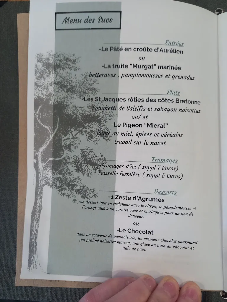 Menu_Maison vidal_Saint-Julien-Chapteuil_immagine_2
