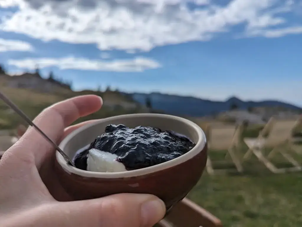 The Biting Critic_Restaurant Auberge du Charmant Som_Saint-Pierre-de-Chartreuse_review