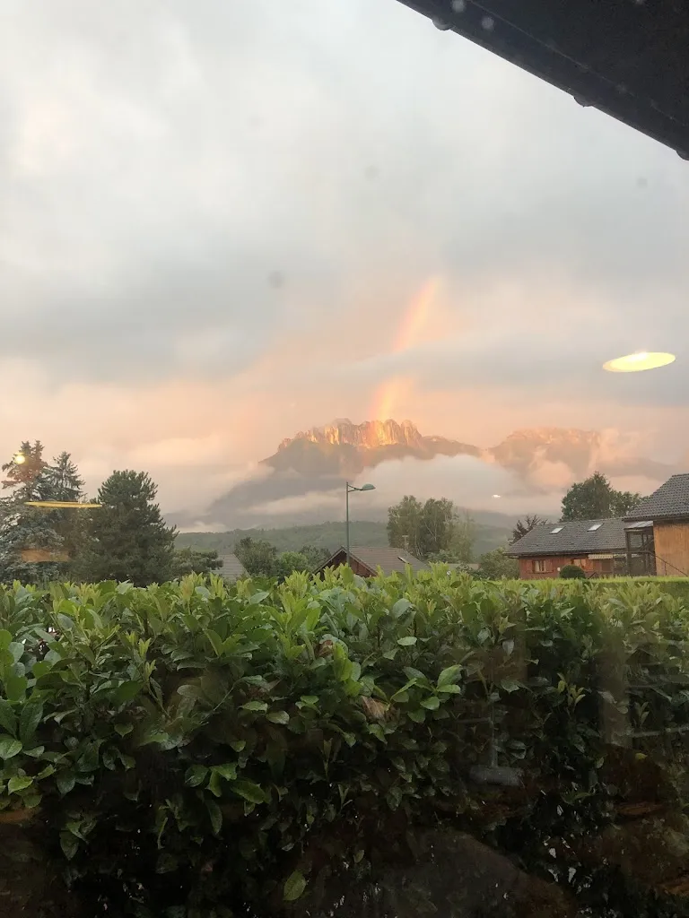 Moira Barnes_Lac et Montagne_Saint-Jorioz_review