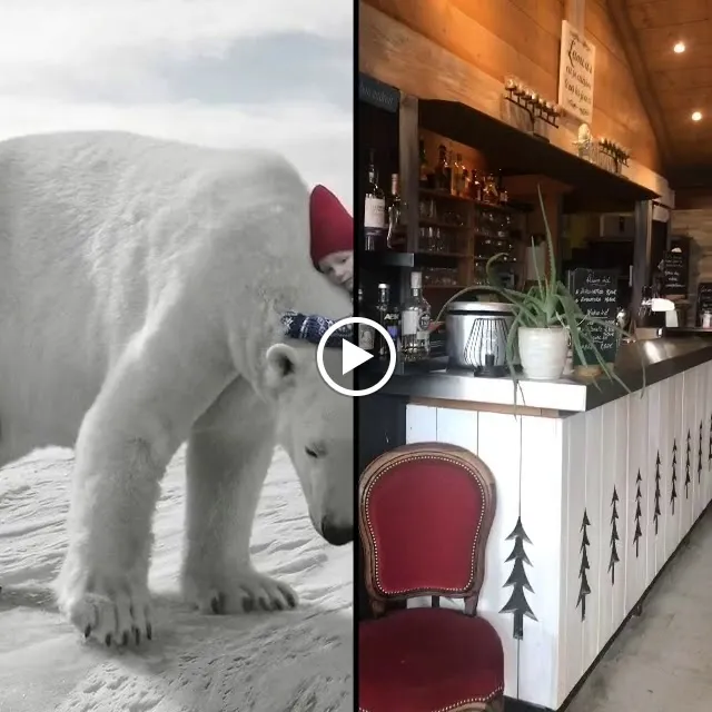 Lac et Montagne ristorante a Saint-Jorioz