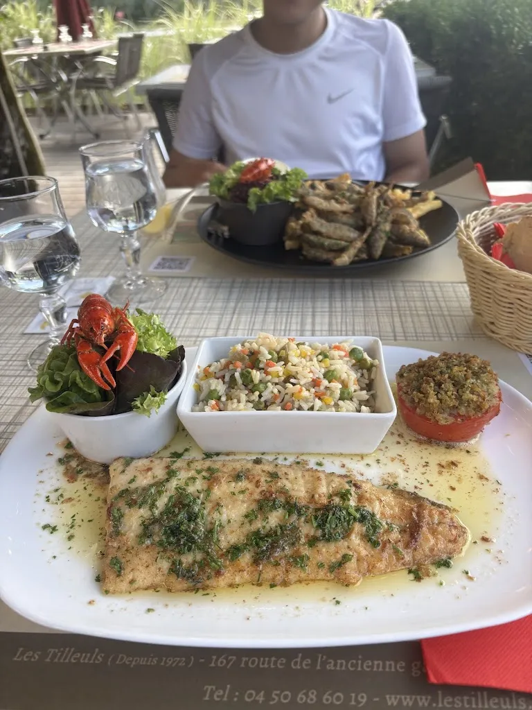 Caleb Lee_Hôtel – Restaurant – Bar Les Tilleuls_Saint-Jorioz_review