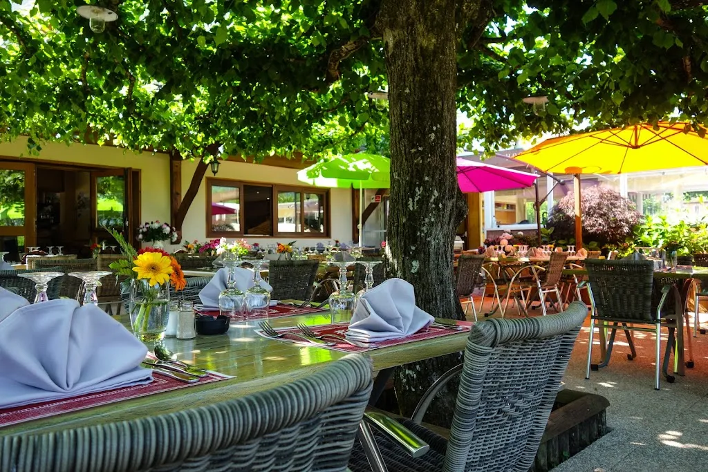 Hôtel – Restaurant – Bar Les Tilleuls ristorante a Saint-Jorioz