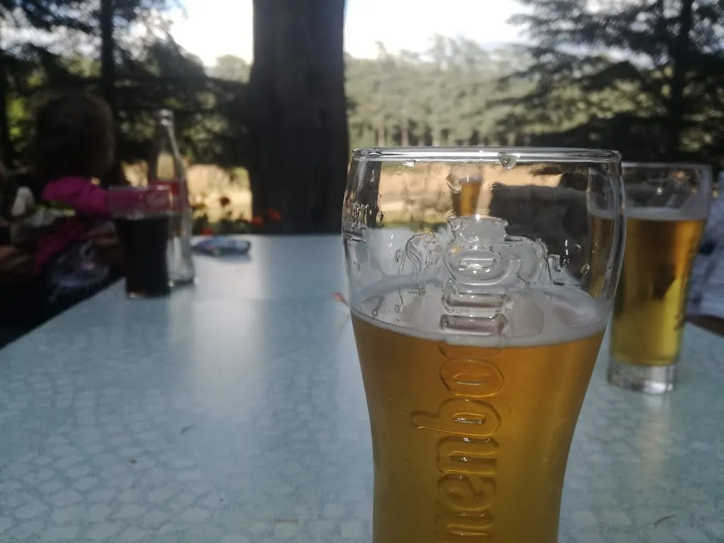 Menu_Bar les cèdres_Saint-Marcel-lès-Annonay_image_1