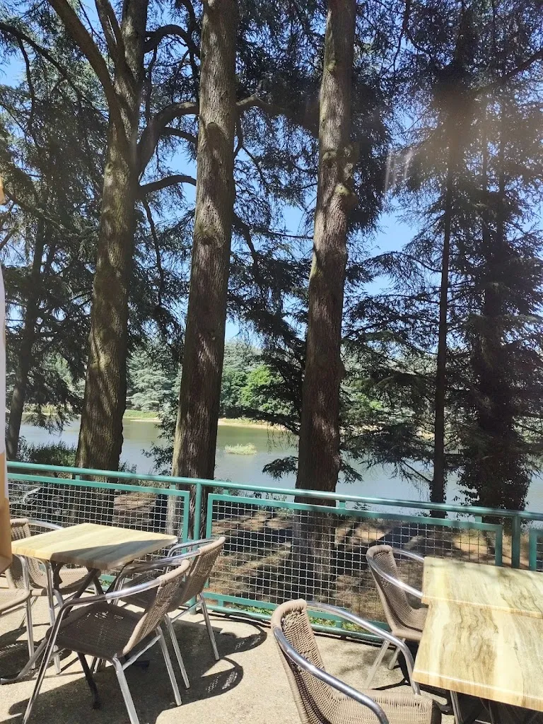 lucas_Bar les cèdres_Saint-Marcel-lès-Annonay_review