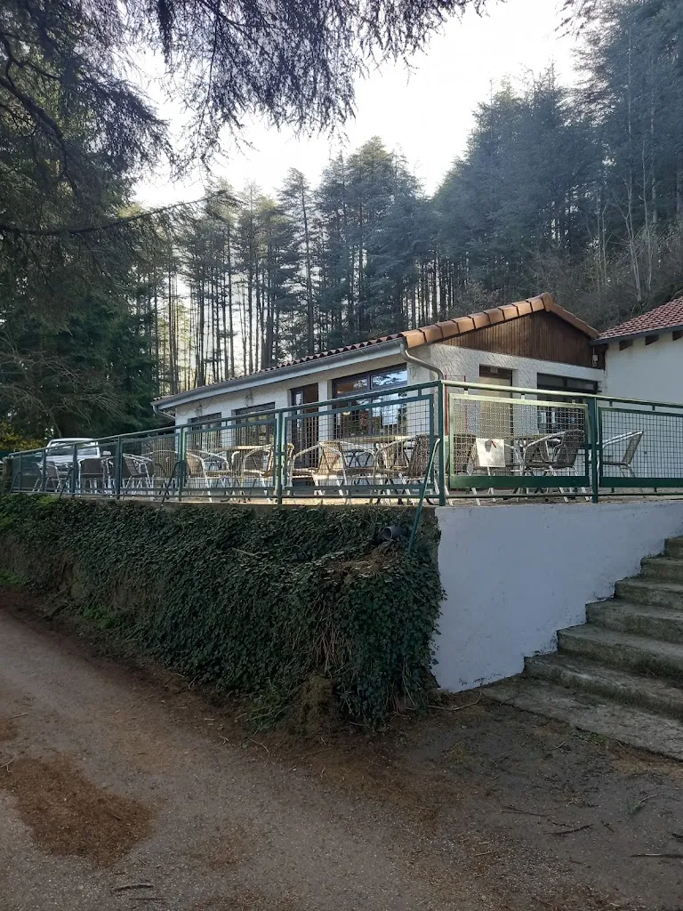 Lolo Pharaon_Bar les cèdres_Saint-Marcel-lès-Annonay_review