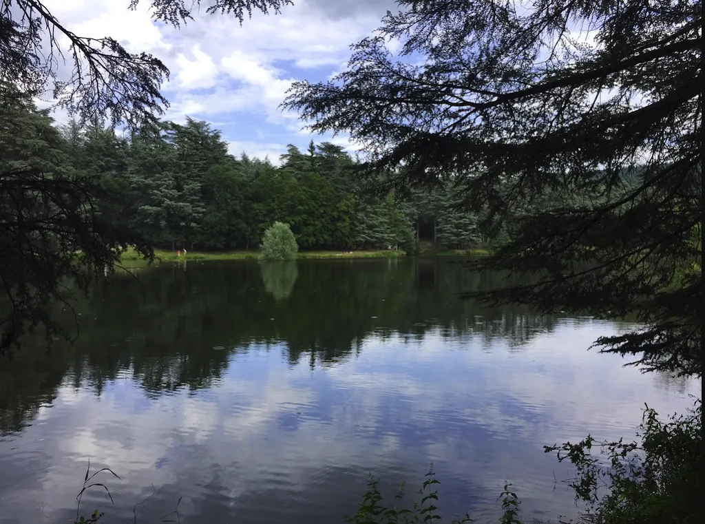 Moris Merle_Bar les cèdres_Saint-Marcel-lès-Annonay_review