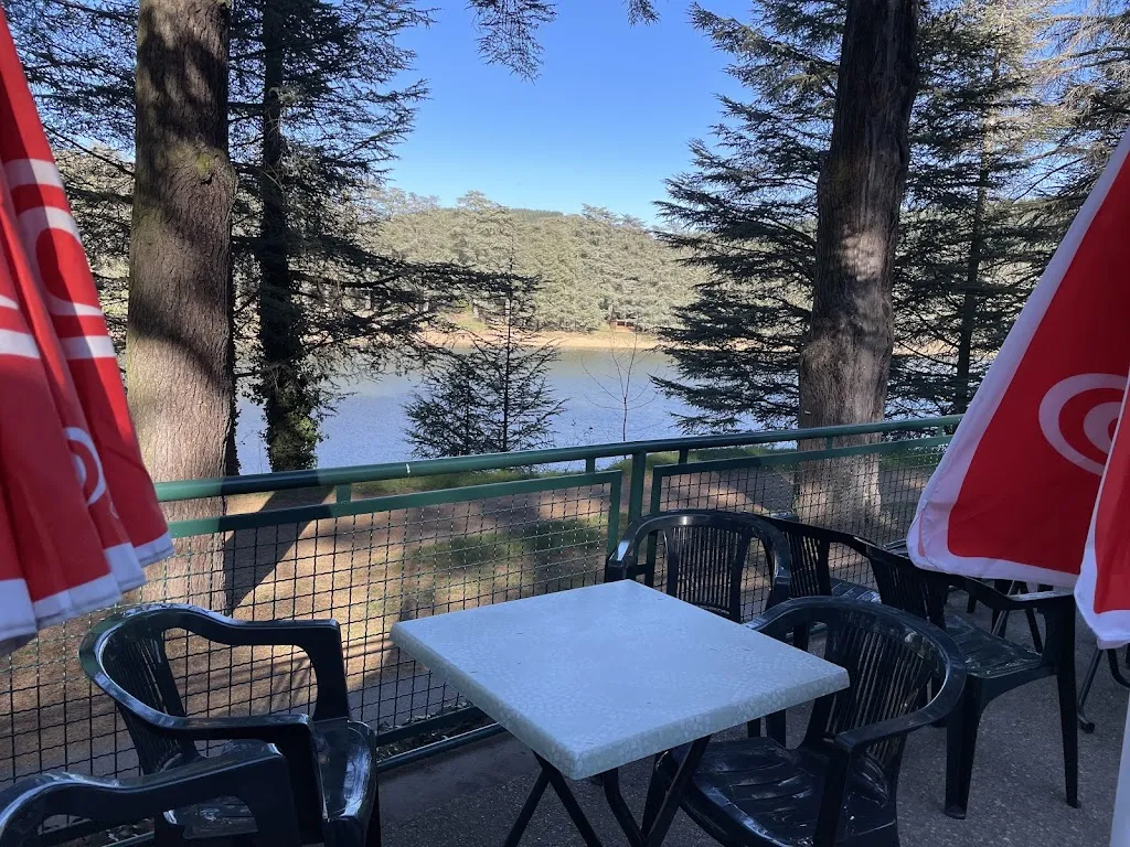 Bar les cèdres_Saint-Marcel-lès-Annonay_slider_image_1