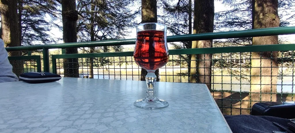 Bar les cèdres_Saint-Marcel-lès-Annonay_slider_image_2