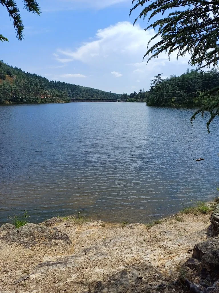 Bar les cèdres_Saint-Marcel-lès-Annonay_slider_image_3