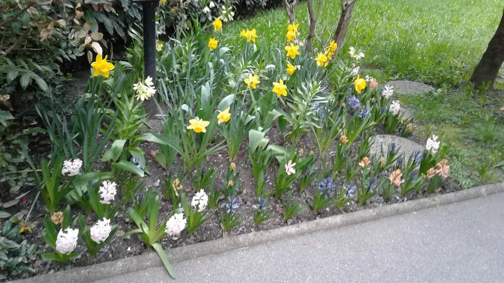 Restaurant-pizzeria Chez Deniz_Saint-Jean-de-Maurienne_slider_image_3