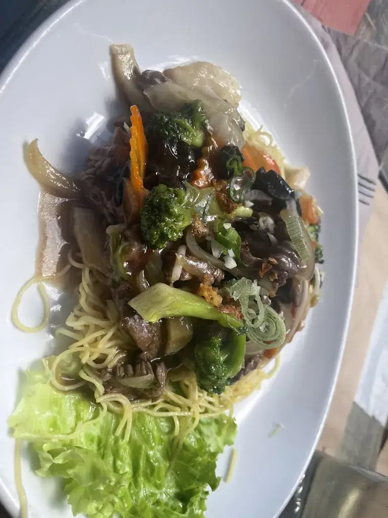 wim tielemans_L'Indochine_Saint-Jean-de-Maurienne_review