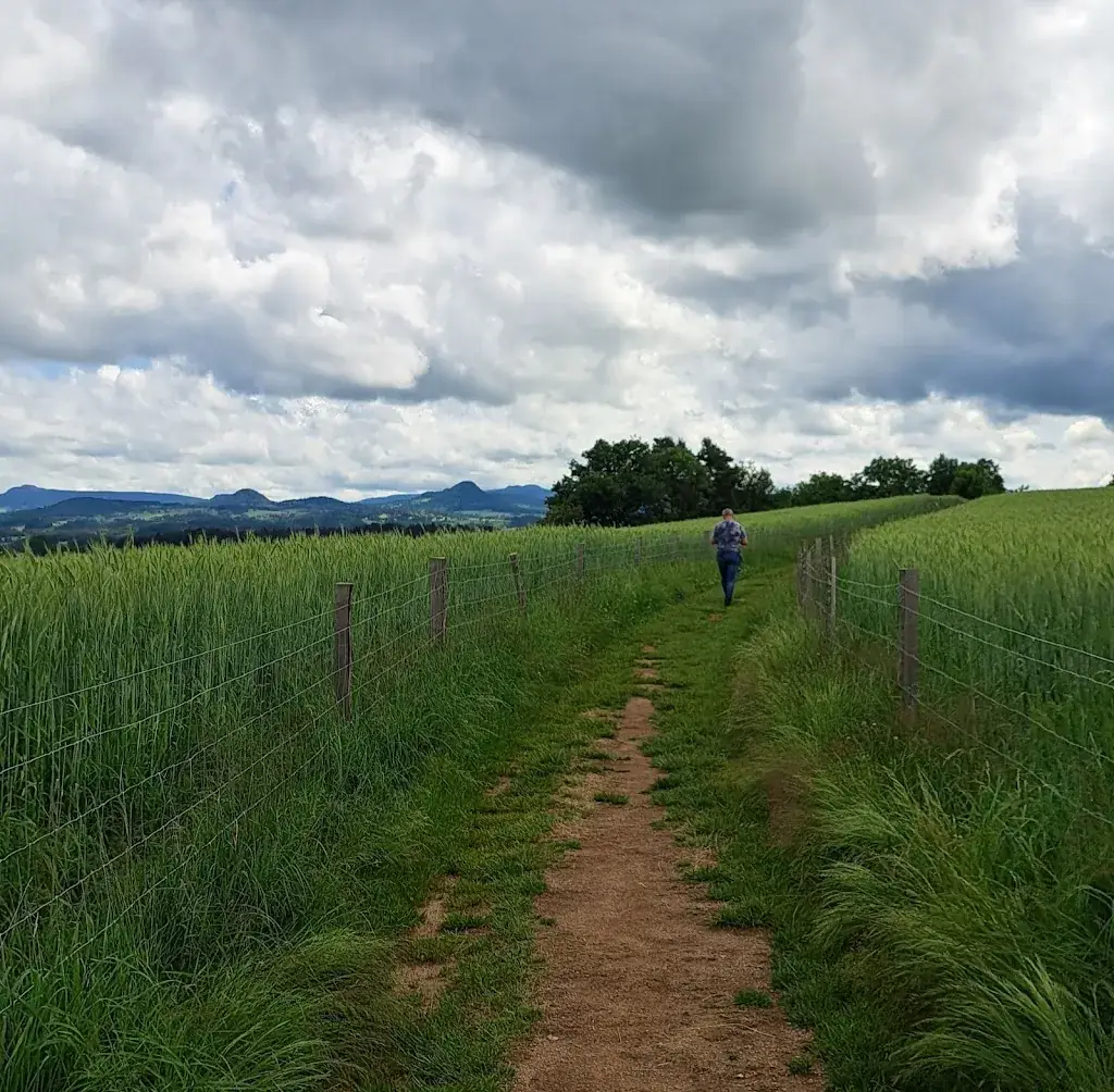 Claudette van Osch_Passerelle des Gorges du Lignon_Saint-Maurice-de-Lignon_review