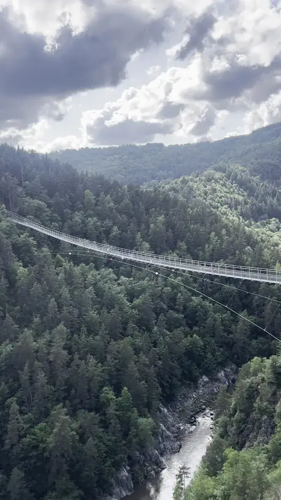 Franco Terranova_Passerelle des Gorges du Lignon_Saint-Maurice-de-Lignon_review
