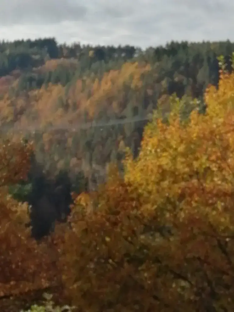 Mike Asquith_Passerelle des Gorges du Lignon_Saint-Maurice-de-Lignon_review