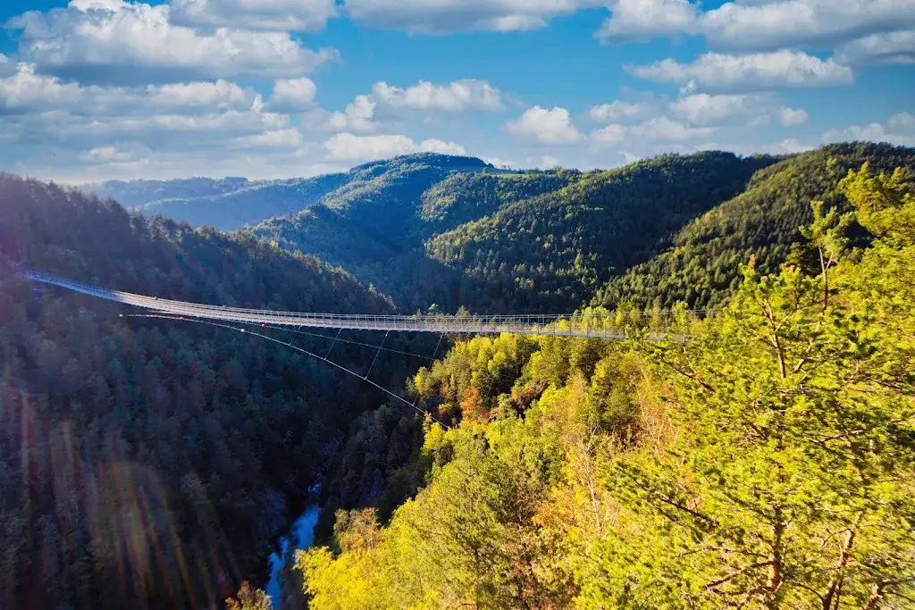 Passerelle des Gorges du Lignon_Saint-Maurice-de-Lignon_slider_image_3