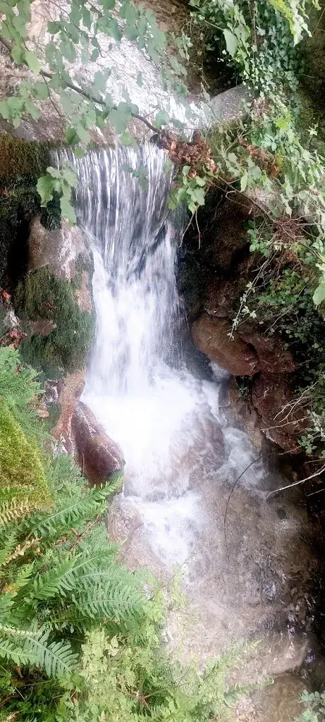 Anne-Cécile Faure_Café-Restaurant du Col de l'Arc_Saint-Paul-de-Varces_avis