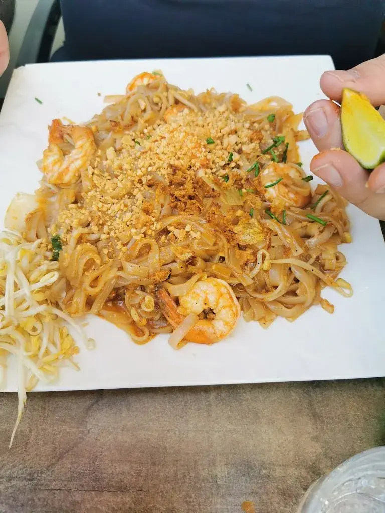 Yvette Vescovi_MR OLIVE 