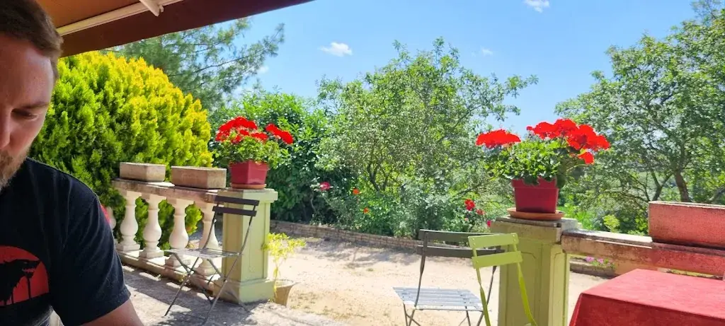 julie h_Restaurant des Promeneurs_Saint-Paulien_review