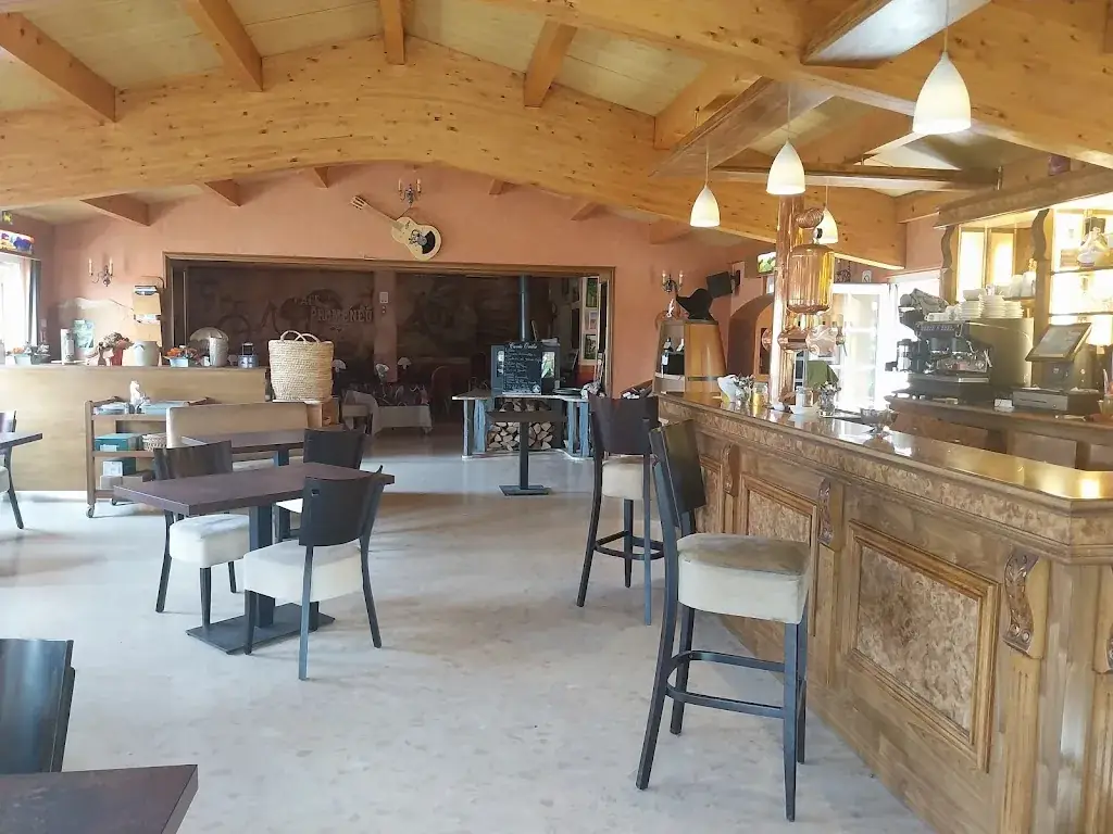Restaurant des Promeneurs restaurant in Saint-Paulien