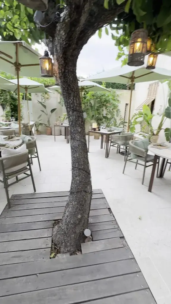 Toile Blanche_Saint-Paul-de-Vence_slider_image_2