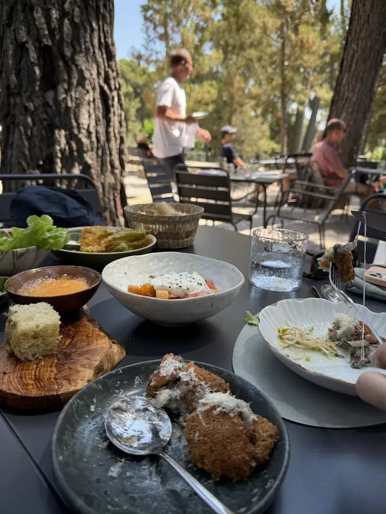 Gee Thomson_Sous les Pins par Les Agitateurs_Saint-Paul-de-Vence_review