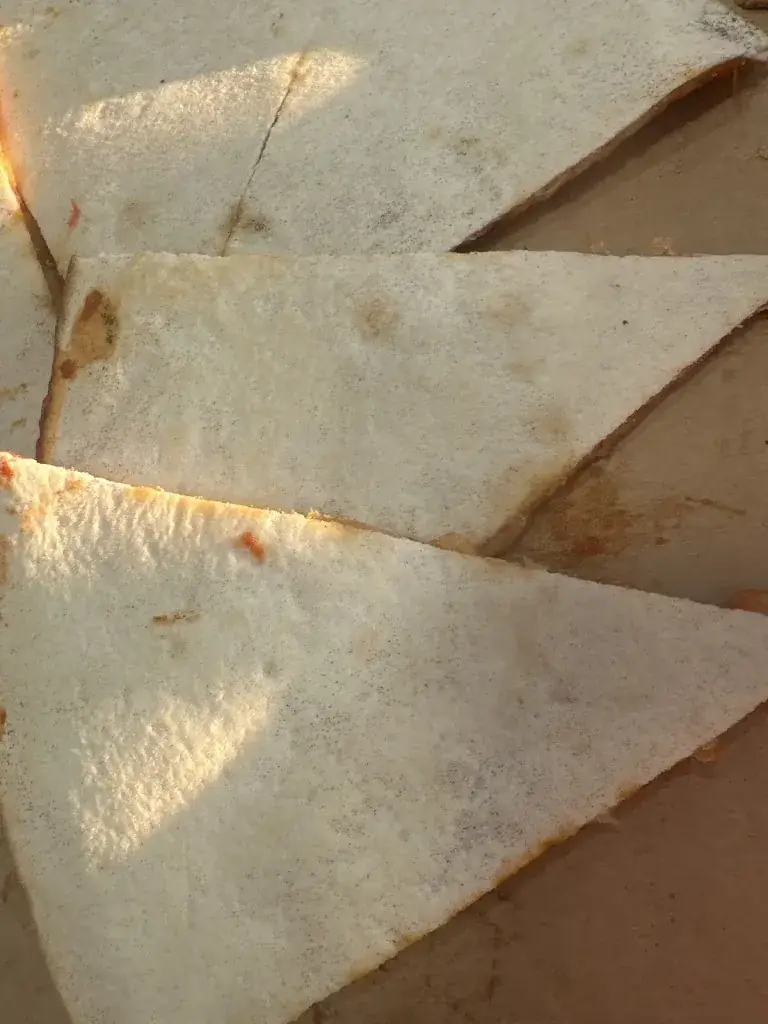 Nico 69_La romana pizza_Saint-Romain-de-Jalionas_review