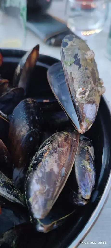 Menu_La Guinguette du Marandan_Saint-Romans_image_7