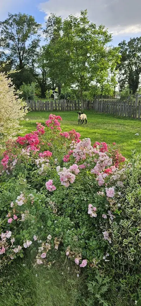 Béatrice BERNARD_Area Les Brouilles_Malafretaz_review