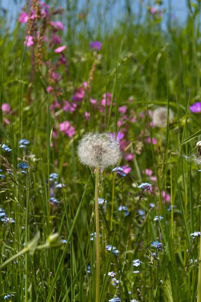 Auberge du Petit Planchat_Saint-Sauves-d'Auvergne_slider_image_3