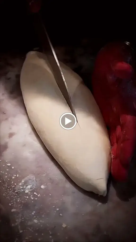 Faisan de Colchide_Aix-les-Bains_slider_image_2