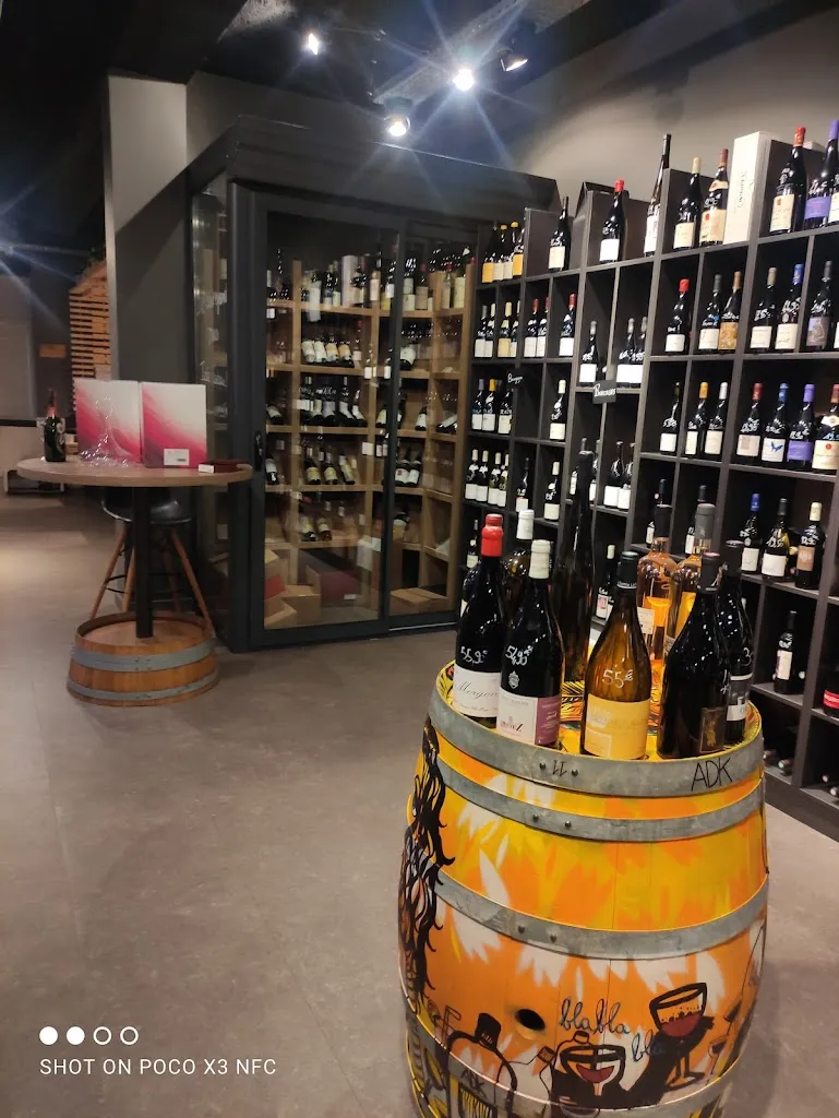 Marie-Laure DIOT_Le Vin et un Plat (21plat) St Symphorien sur Coise_Saint-Symphorien-sur-Coise_review