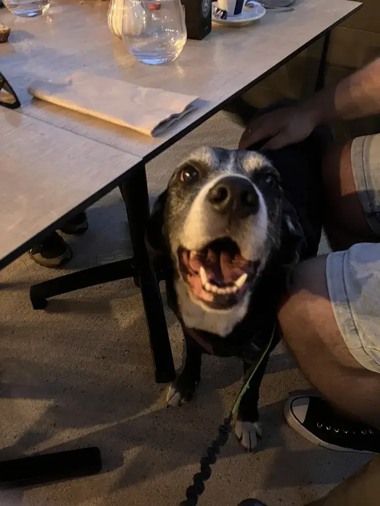 Morgane Tokhadzé_Restaurant Le Drugstore_Saint-Pourçain-sur-Sioule_recensione